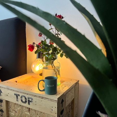 Appartamento Nuovissimo: La Casa Bolognese Luaran gambar